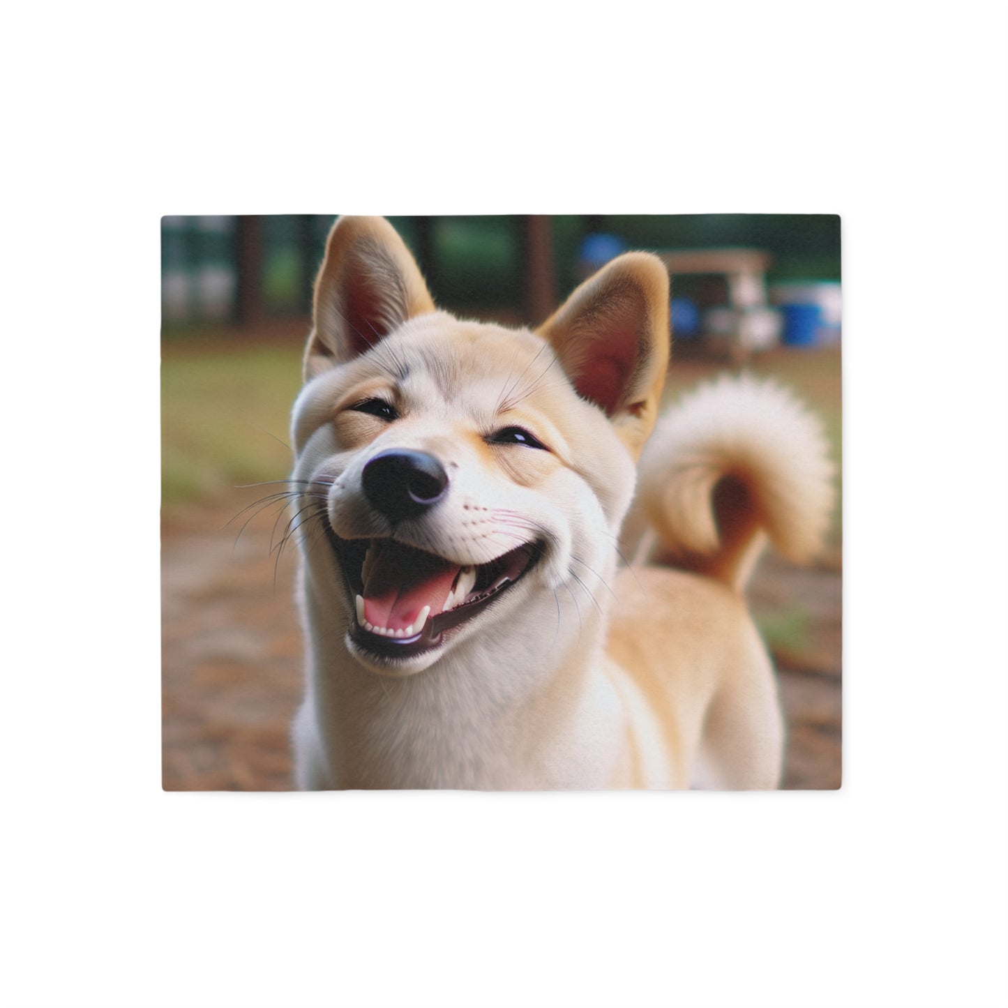 Couverture-sweat-shirt coréenne Jindo Dog