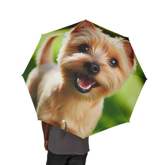 Norwich Terrier Semi-Automatic Foldable Umbrella