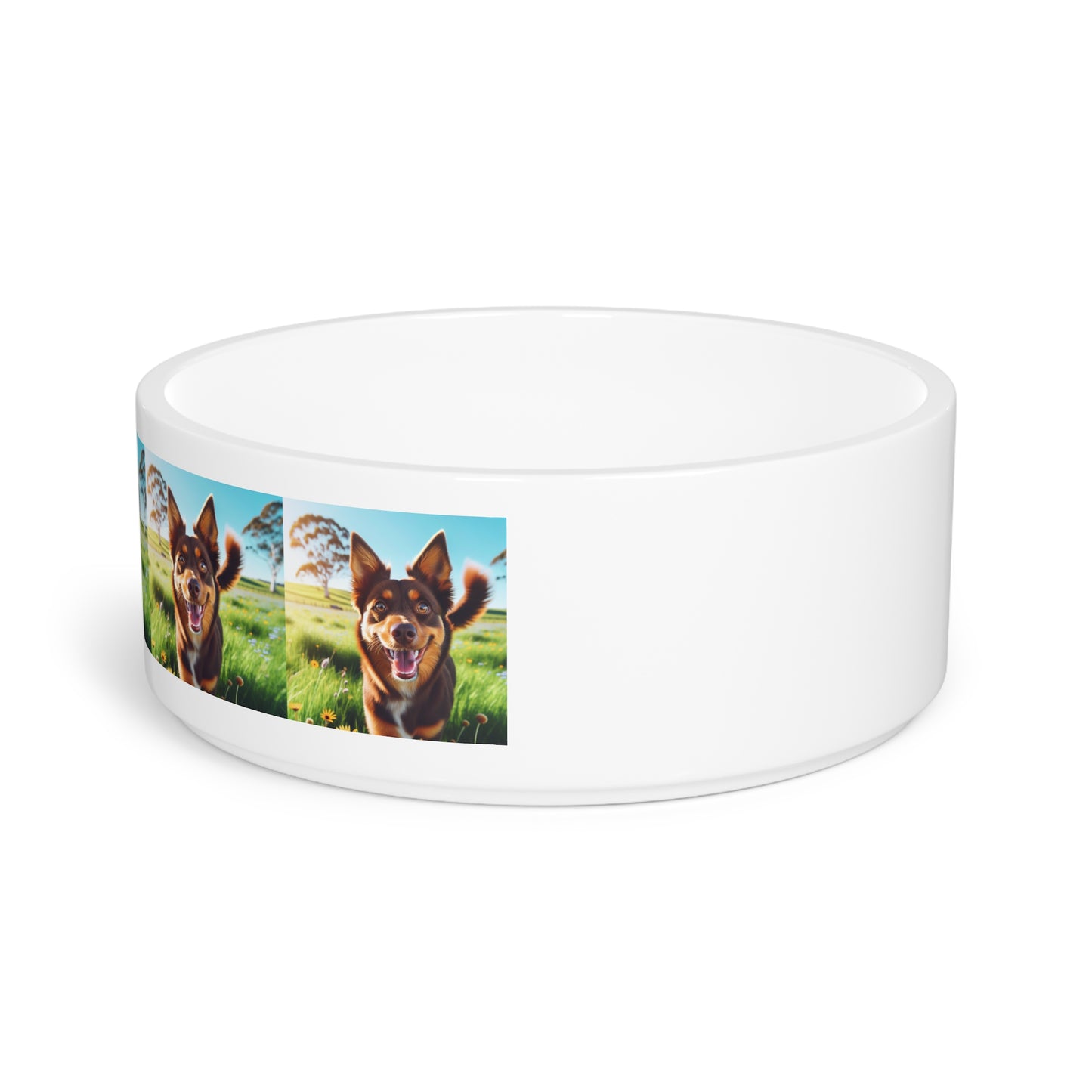 Australian Kelpie Pet Bowl