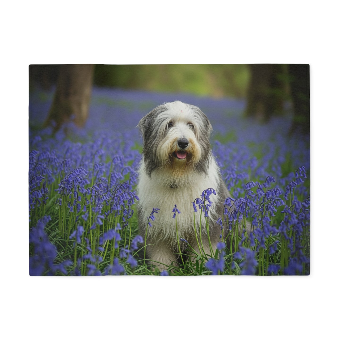 Bearded Collie Sweatshirt Blanket