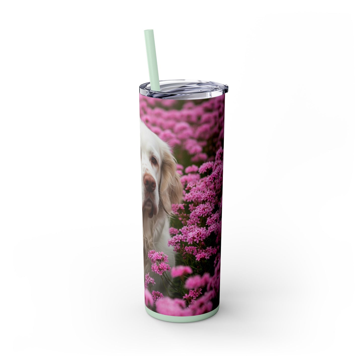 Gobelet isotherme Clumber Spaniel avec paille, 590 ml