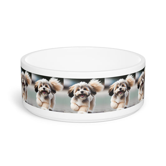 Lowchen Pet Bowl