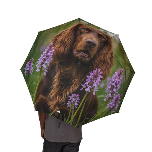 Pont-Audemer Spaniel Semi-Automatic Foldable Umbrella