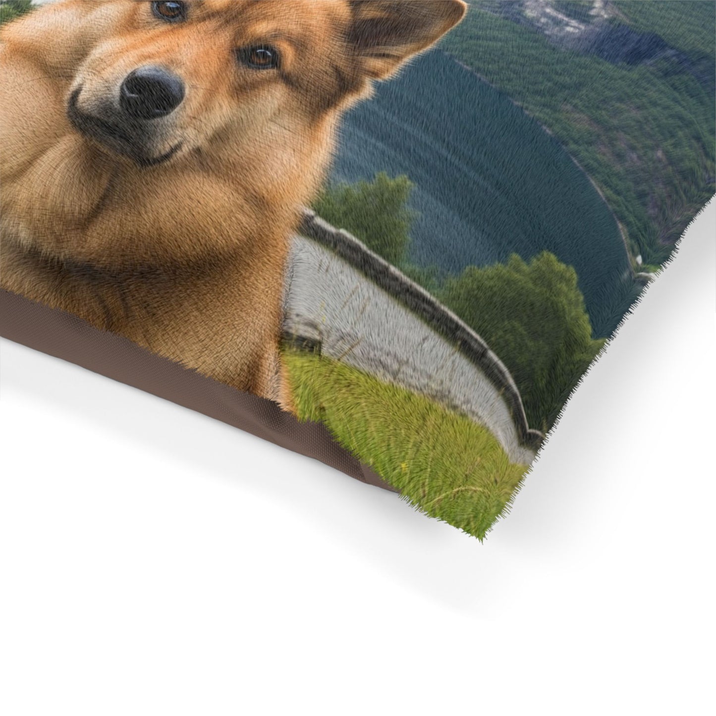 Norwegian Buhund Pet Bed