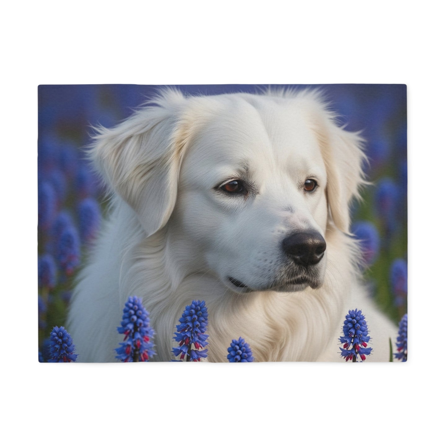 Sweat-shirt/couverture pour chien de berger portugais