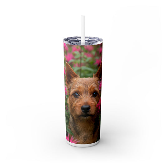 Norwich Terrier Skinny Tumbler with Straw, 20oz