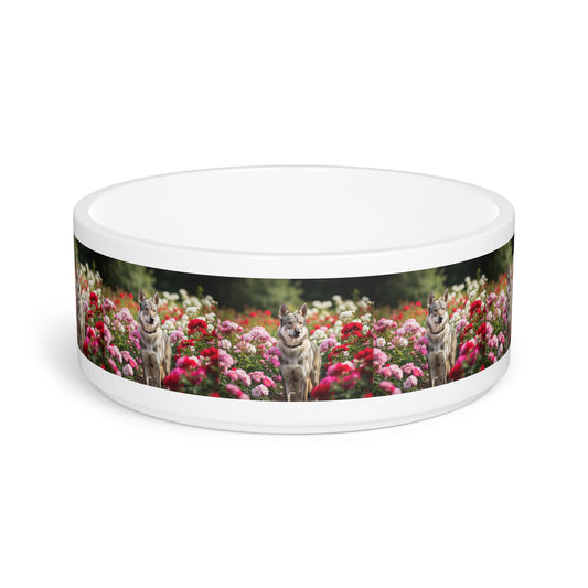 Czechoslovakian Vlcak Pet Bowl