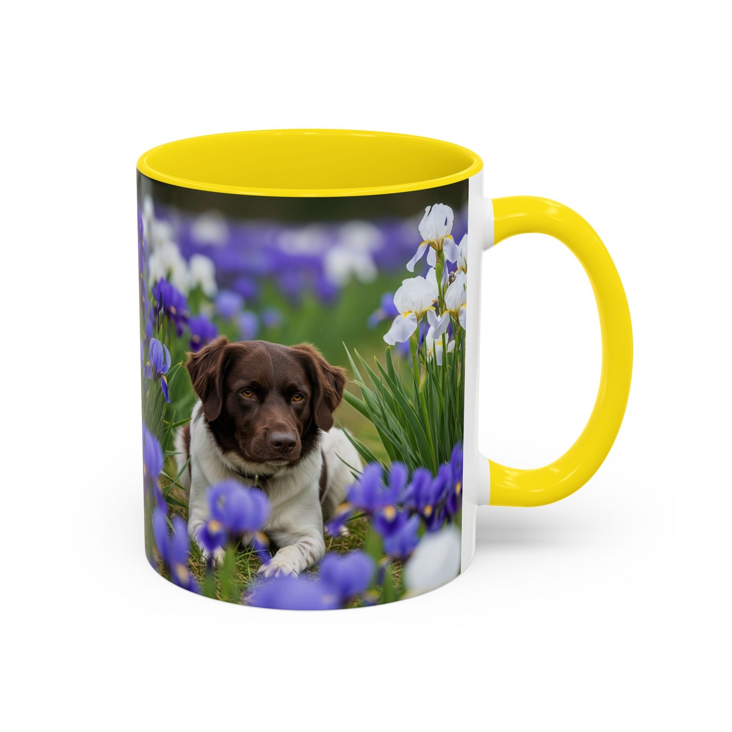 Mug Stabyhouns Accent - Cadeau idéal pour les amoureux des chiens
