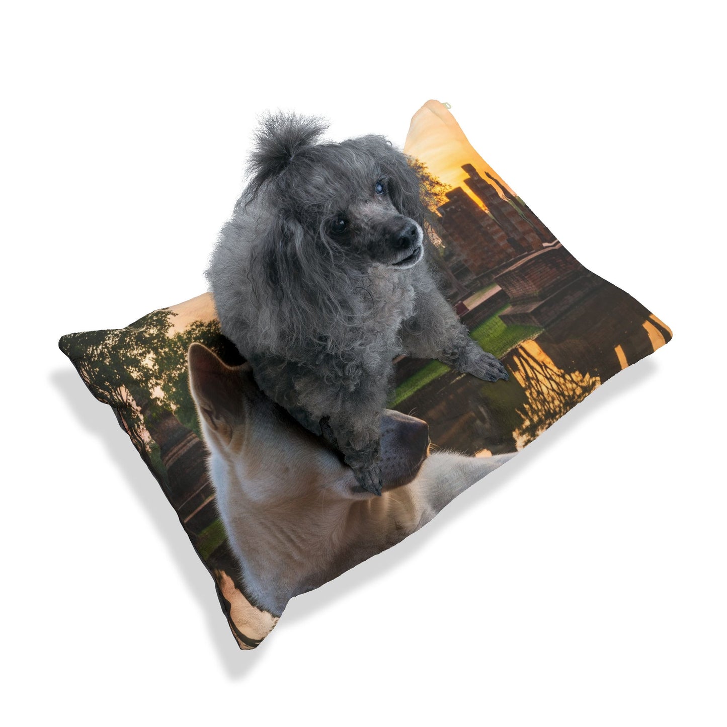 Thai Bangkaew Dog Pet Bed