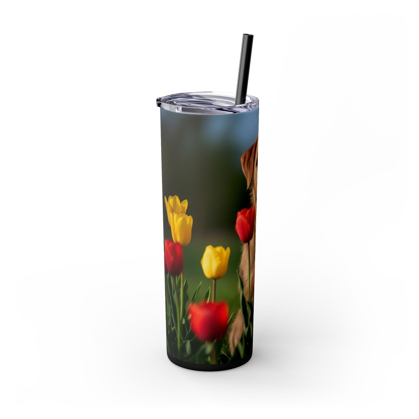 Pumi Skinny Tumbler with Straw, 20oz