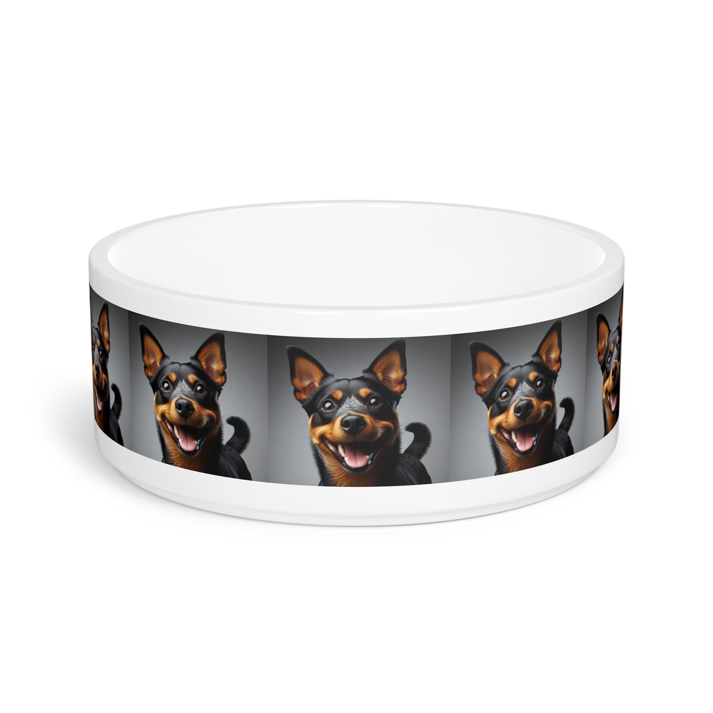 Lancashire Heeler Pet Bowl