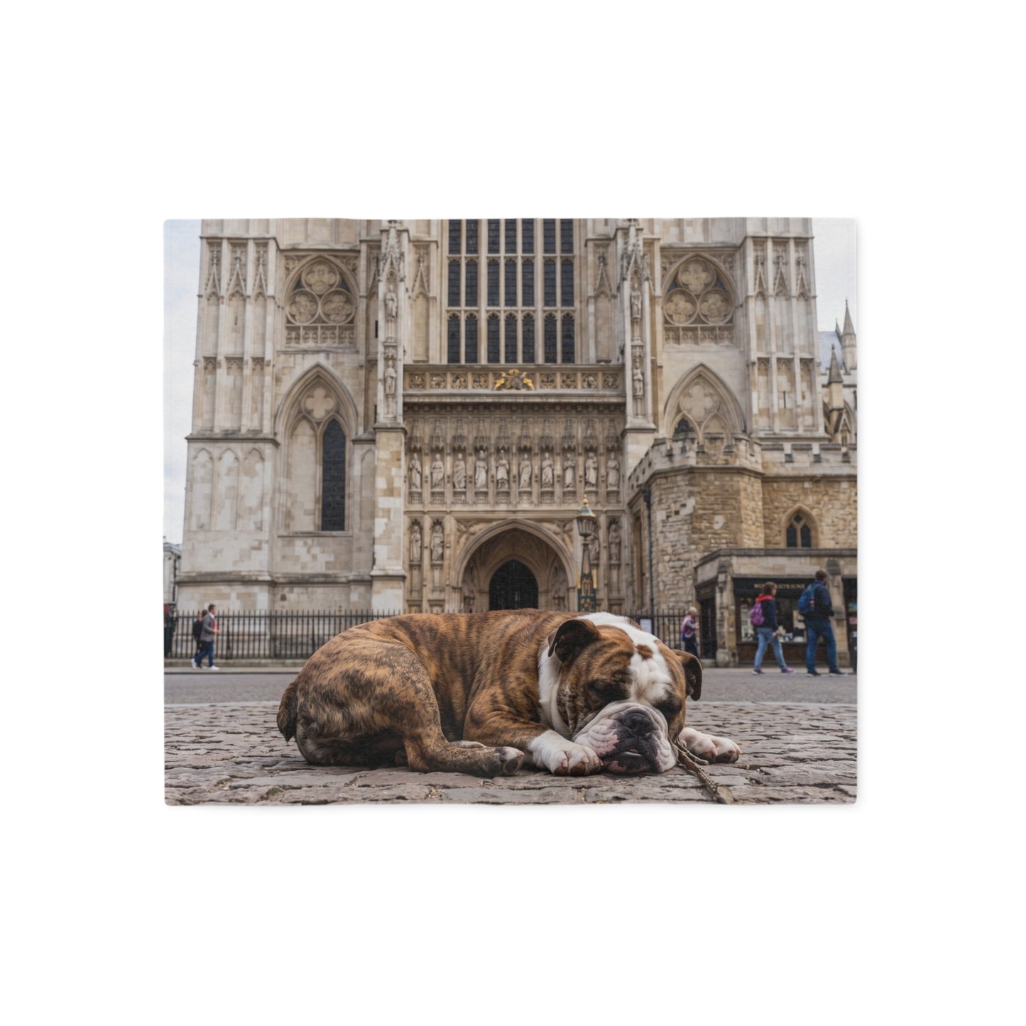 Old English Bulldog Blanket