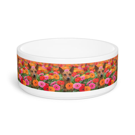 Brazilian Terrier Pet Bowl