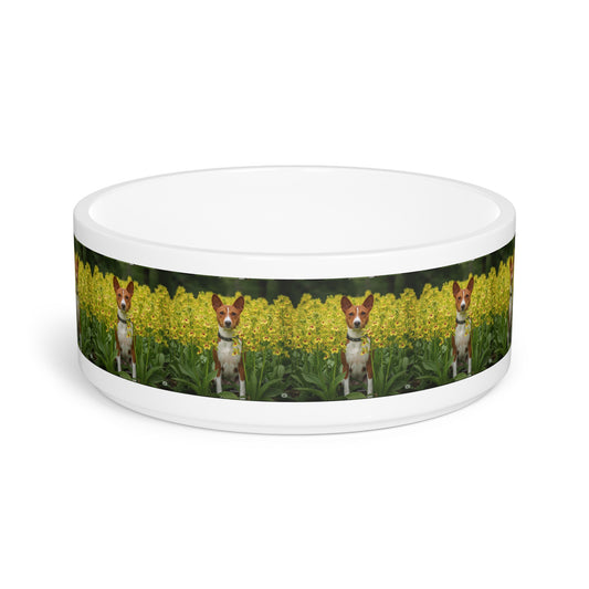 Basenji Pet Bowl