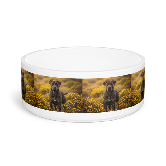 Rafeiro do Alentejo Pet Bowl