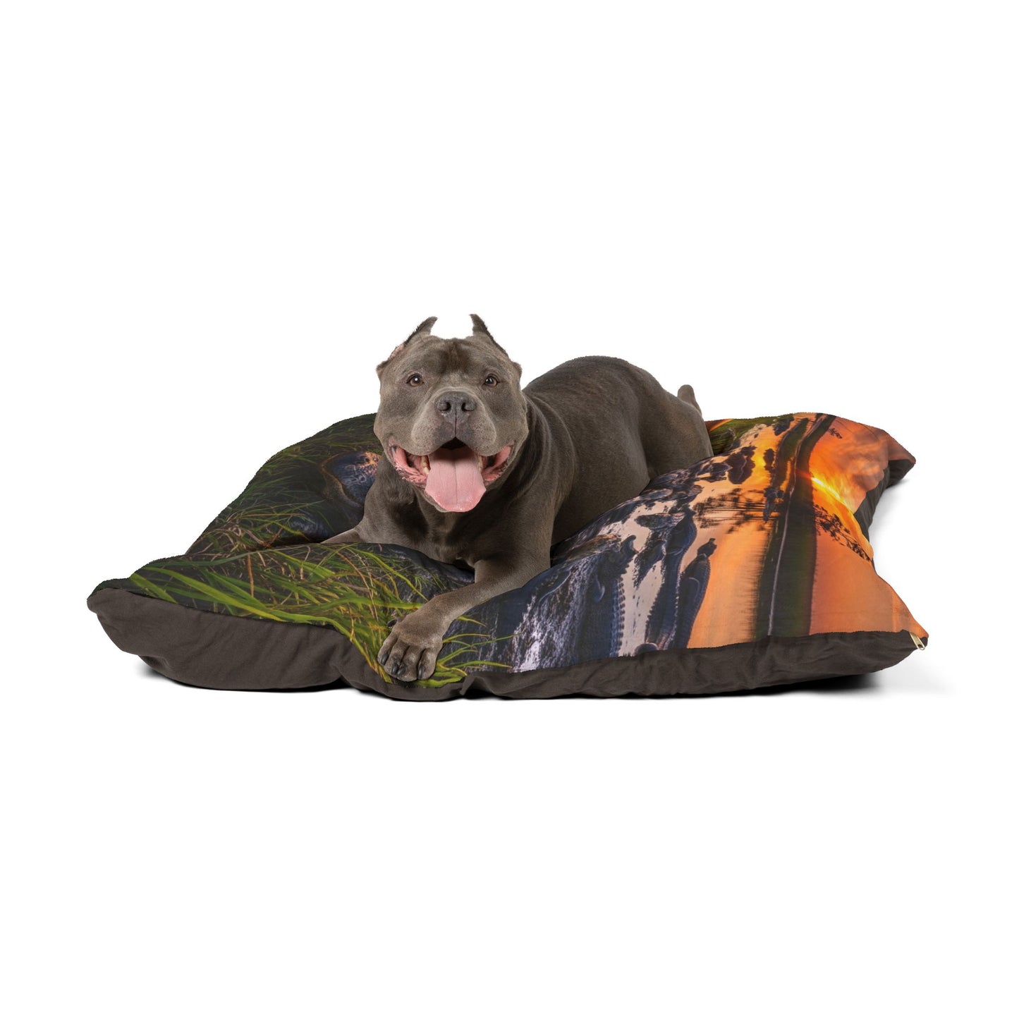 Black Mouth Cur Pet Bed