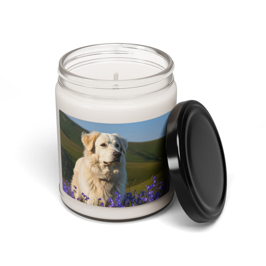 Romanian Carpathian Shepherd- Scented Soy Candle, 9oz