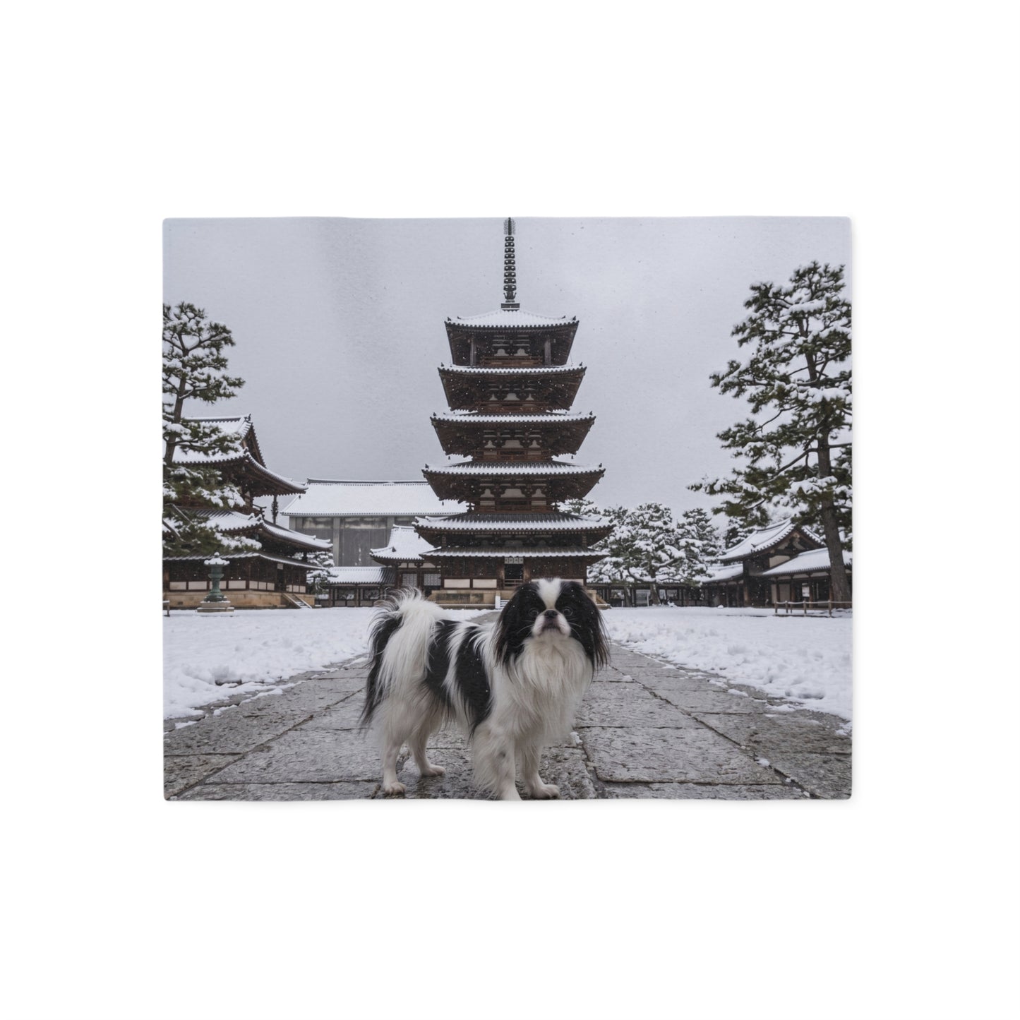 Japanese Chin Blanket