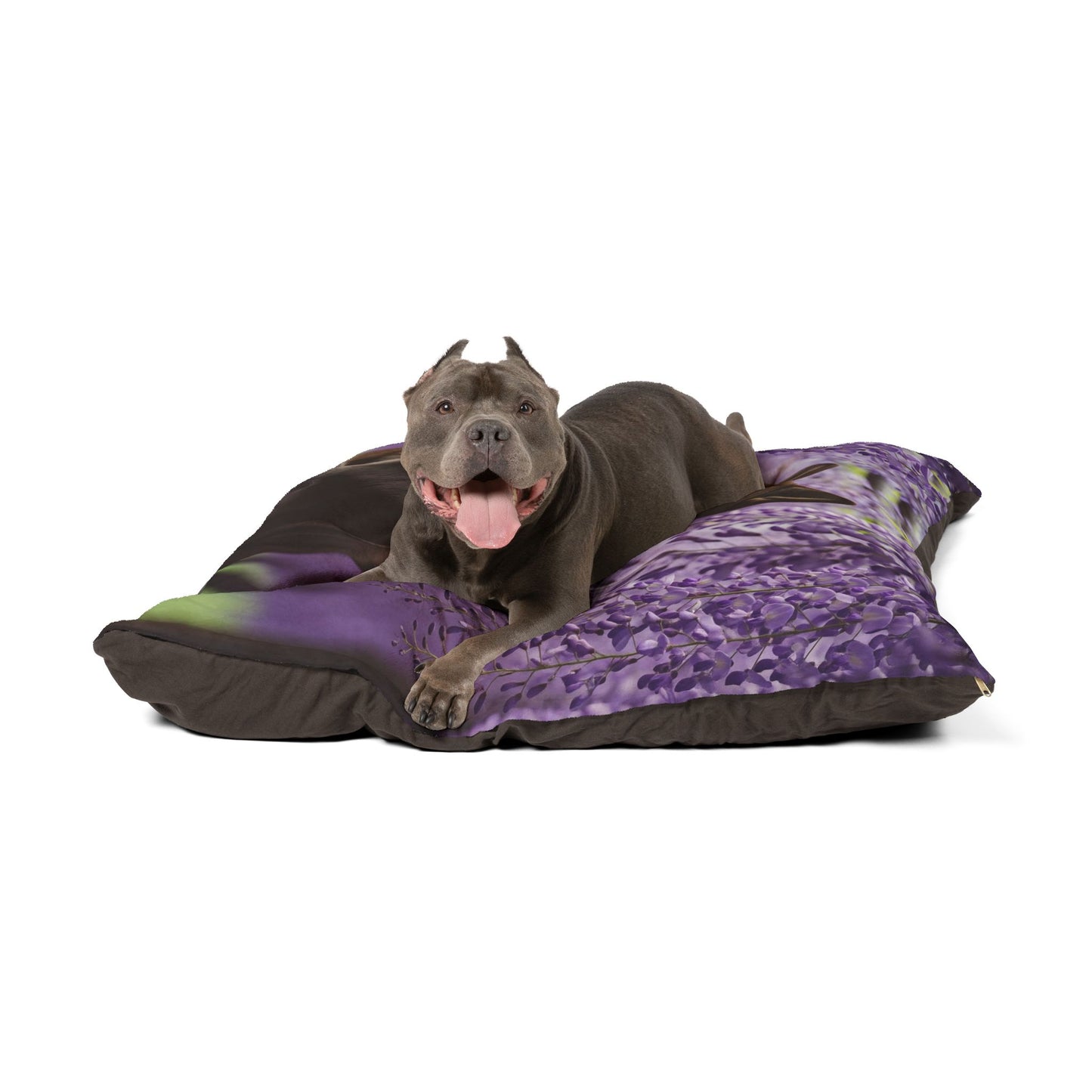 Shikoku Pet Bed