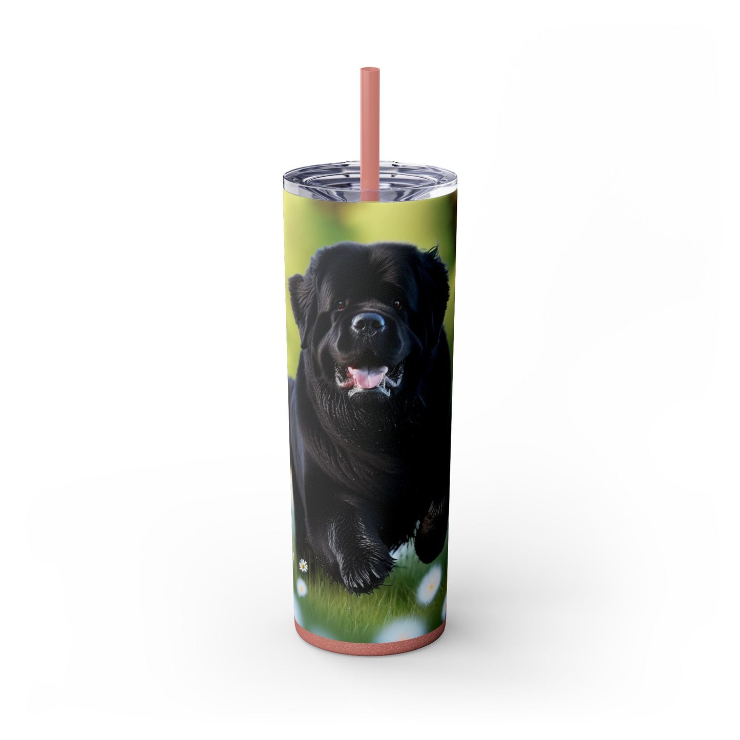 Newfoundland Skinny Tumbler with Straw, 20oz