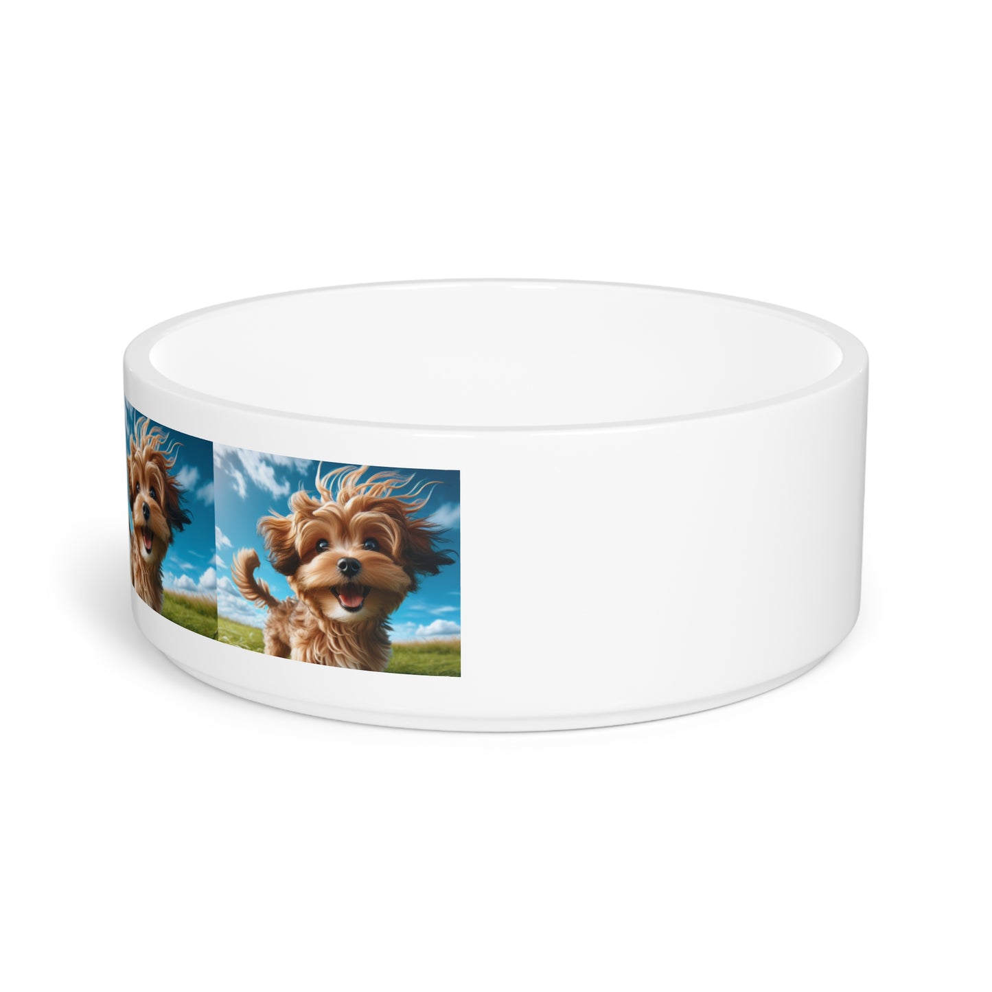 Kaikadi Pet Bowl