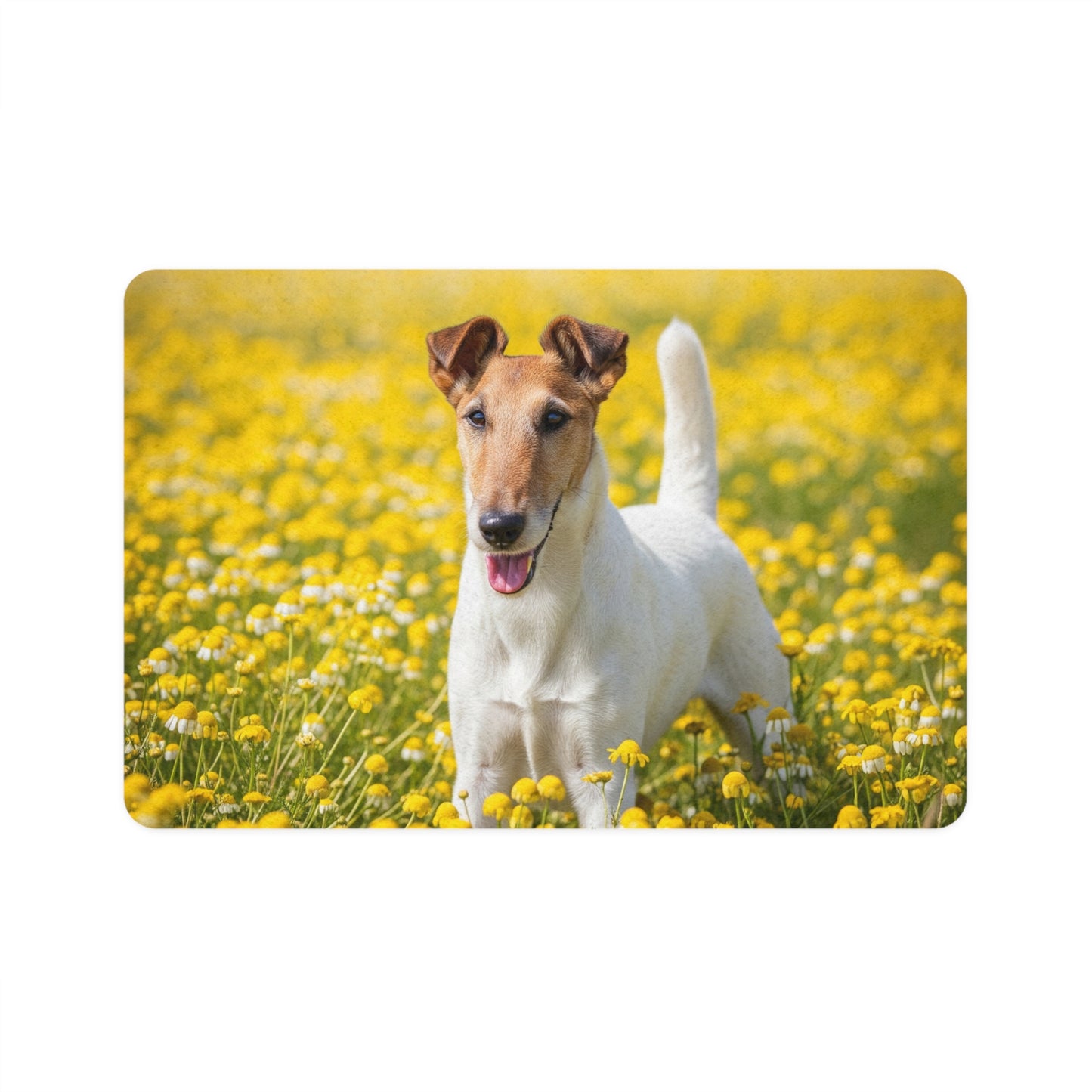 Pet Food Mat (12x18) - Smooth Fox Terrier