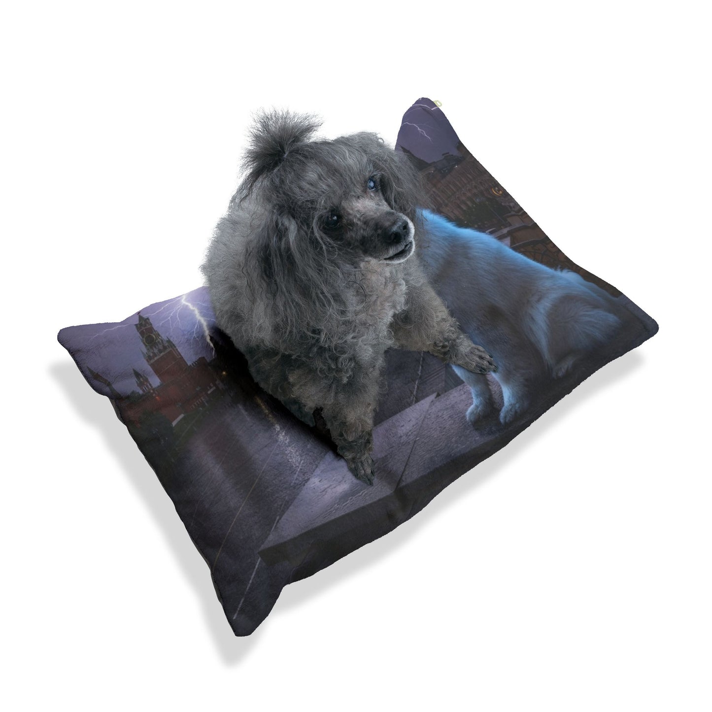 Samoyed Pet Bed