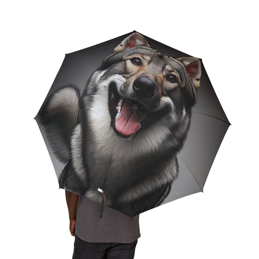 Czechoslovakian Vlcak Semi-Automatic Foldable Umbrella