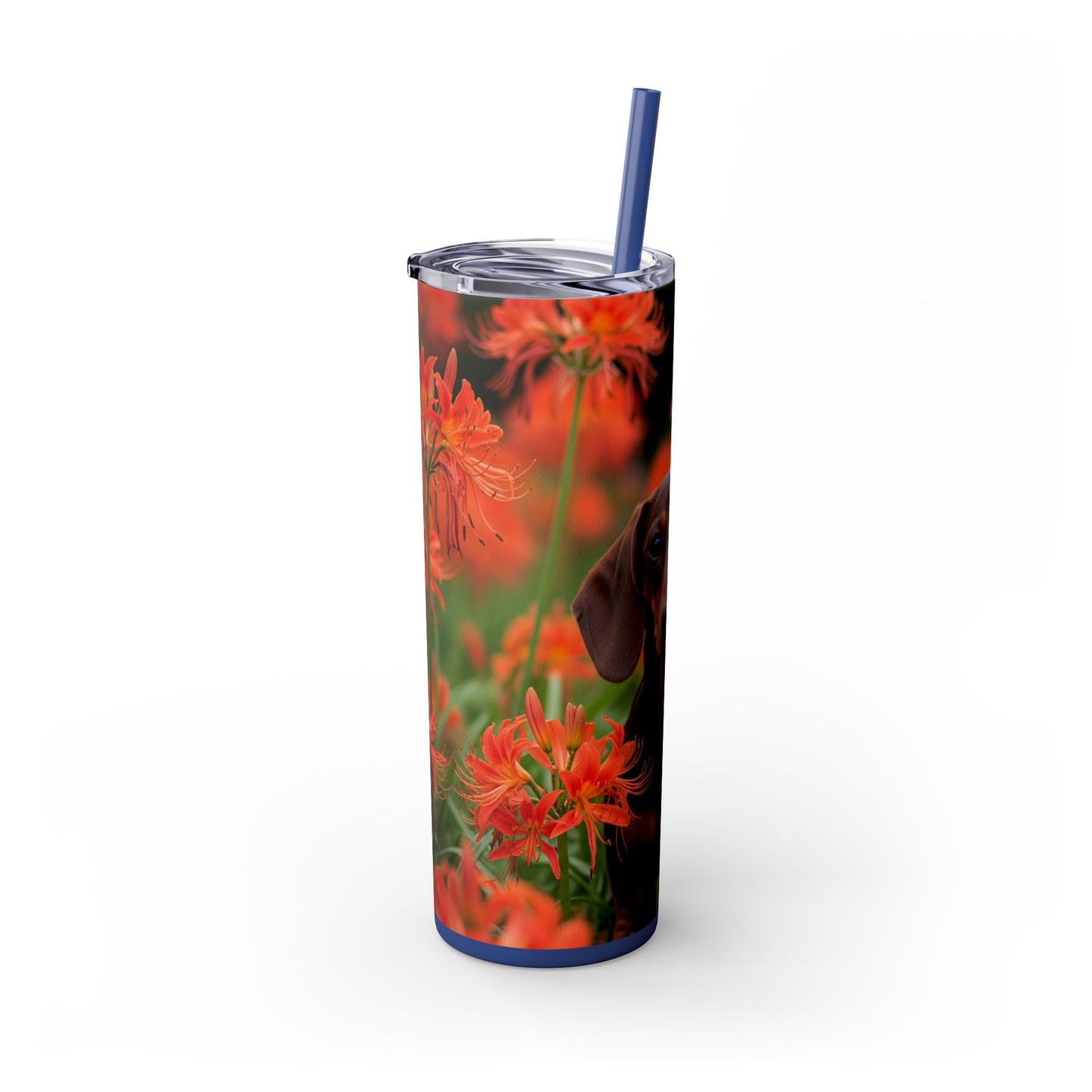 Gobelet isotherme Teckel avec paille, 590 ml