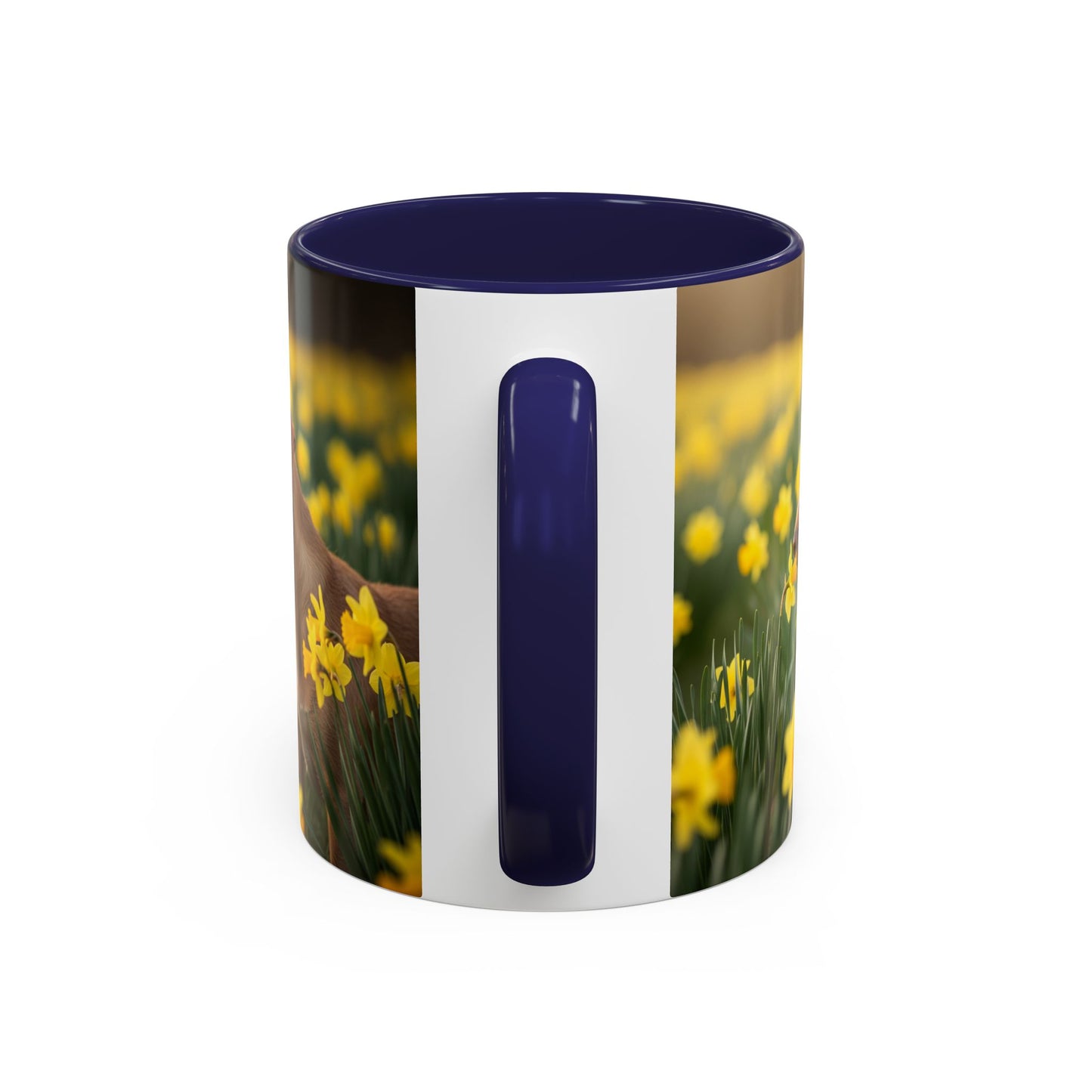 Mug à café avec motif Podengo Pequeno portugais - Cadeau idéal pour les amoureux des chiens