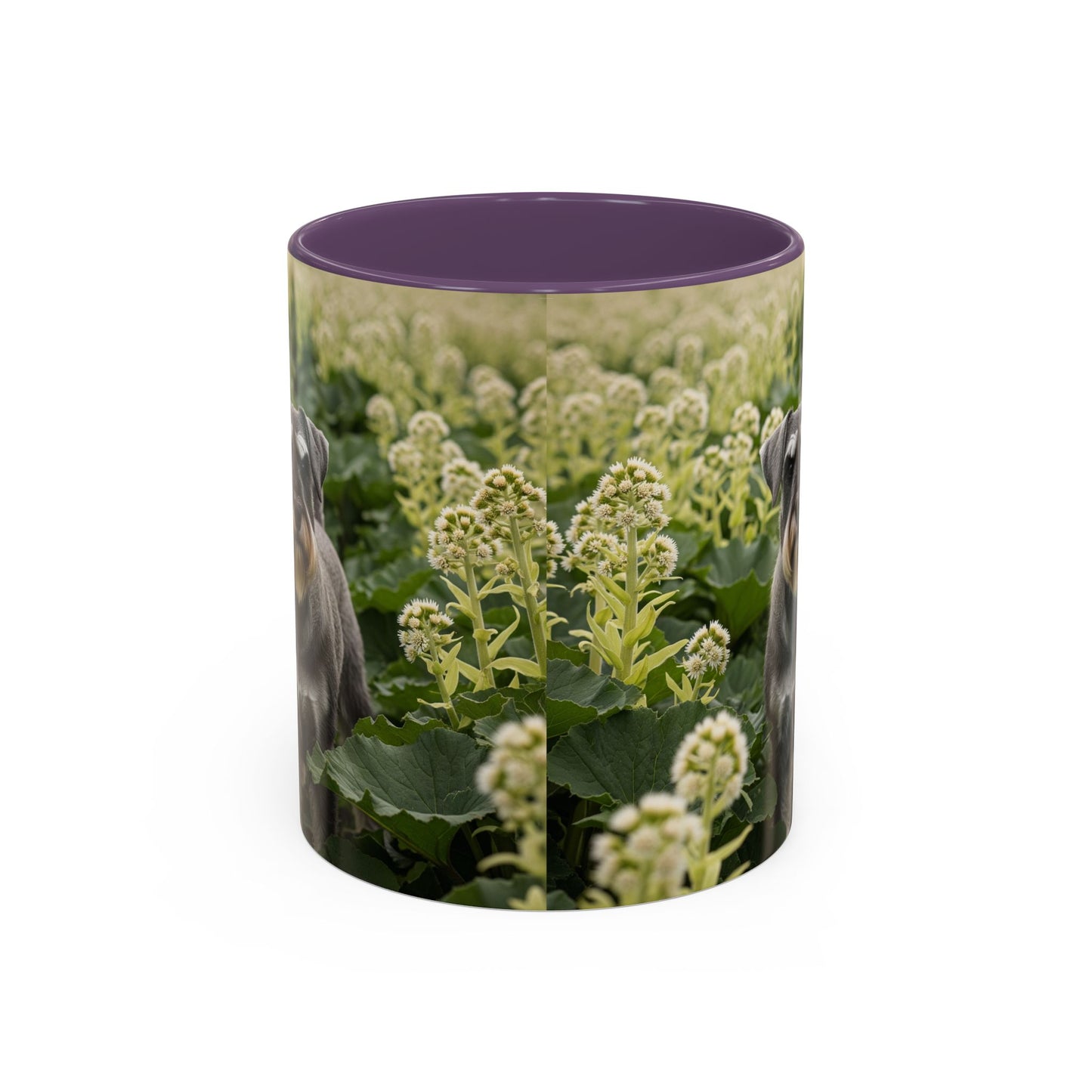 Mug à café avec motif Schnauzer standard - Cadeau idéal pour les amoureux des chiens