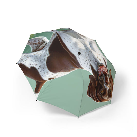 Pointer Semi-Automatic Foldable Umbrella