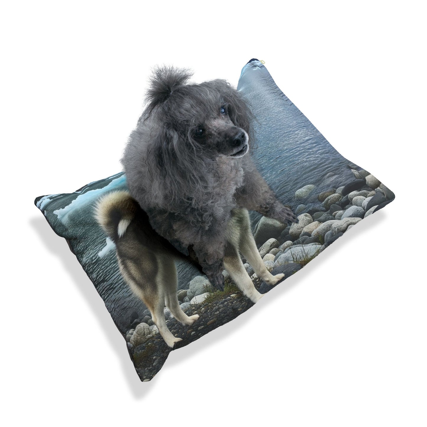 Alaskan Klee Kai Pet Bed