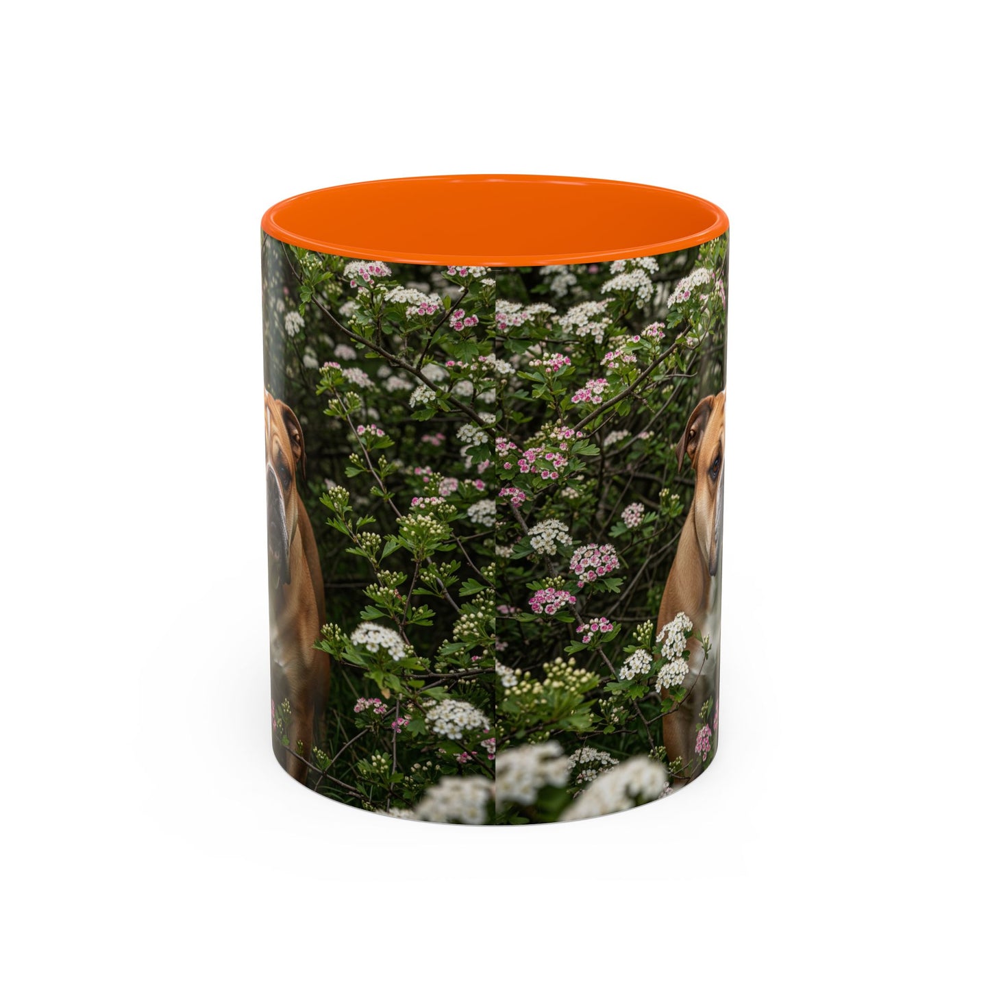 Mug à café Olde English Bulldogge Accent - Cadeau idéal pour les amoureux des chiens