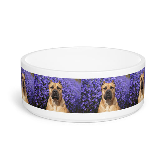 Presa Canario Pet Bowl