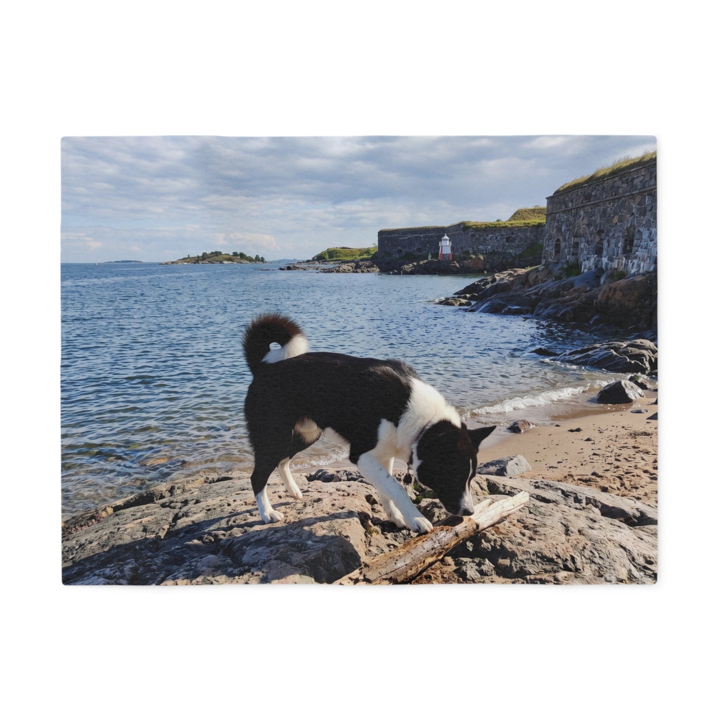 Karelian Bear Dog Blanket