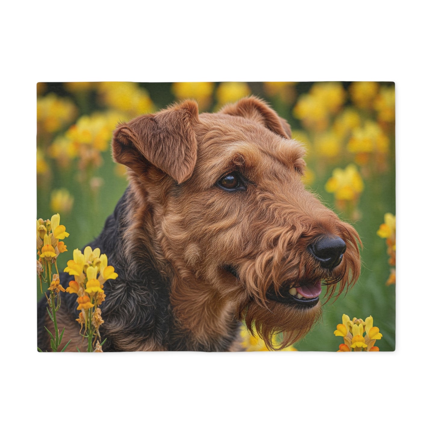 Welsh Terrier Sweatshirt Blanket