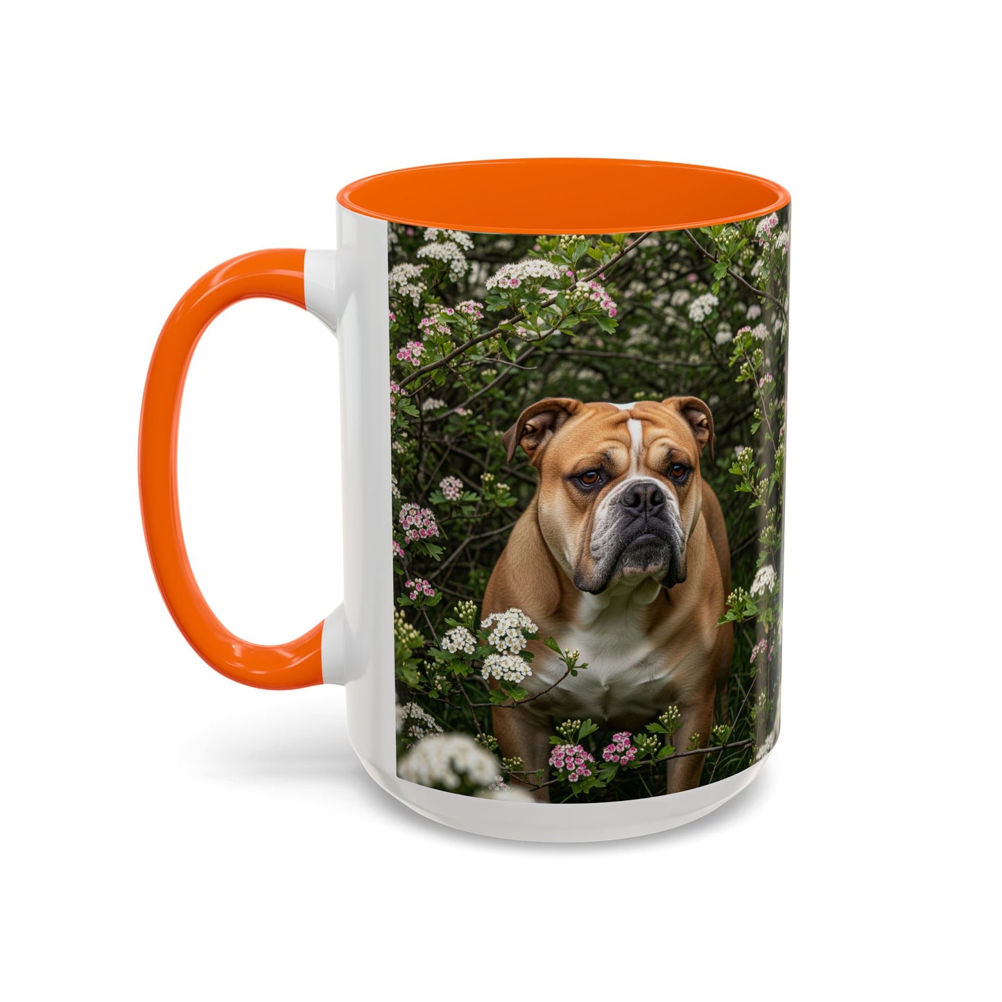 Mug à café Olde English Bulldogge Accent - Cadeau idéal pour les amoureux des chiens