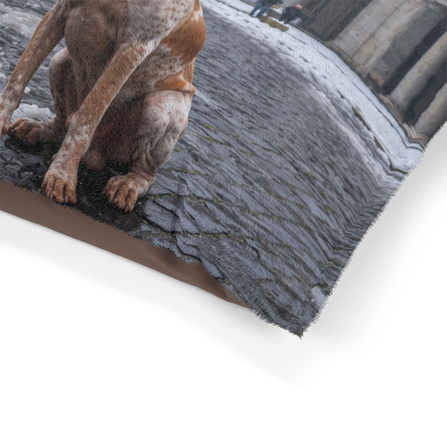 Bracco Italiano Pet Bed