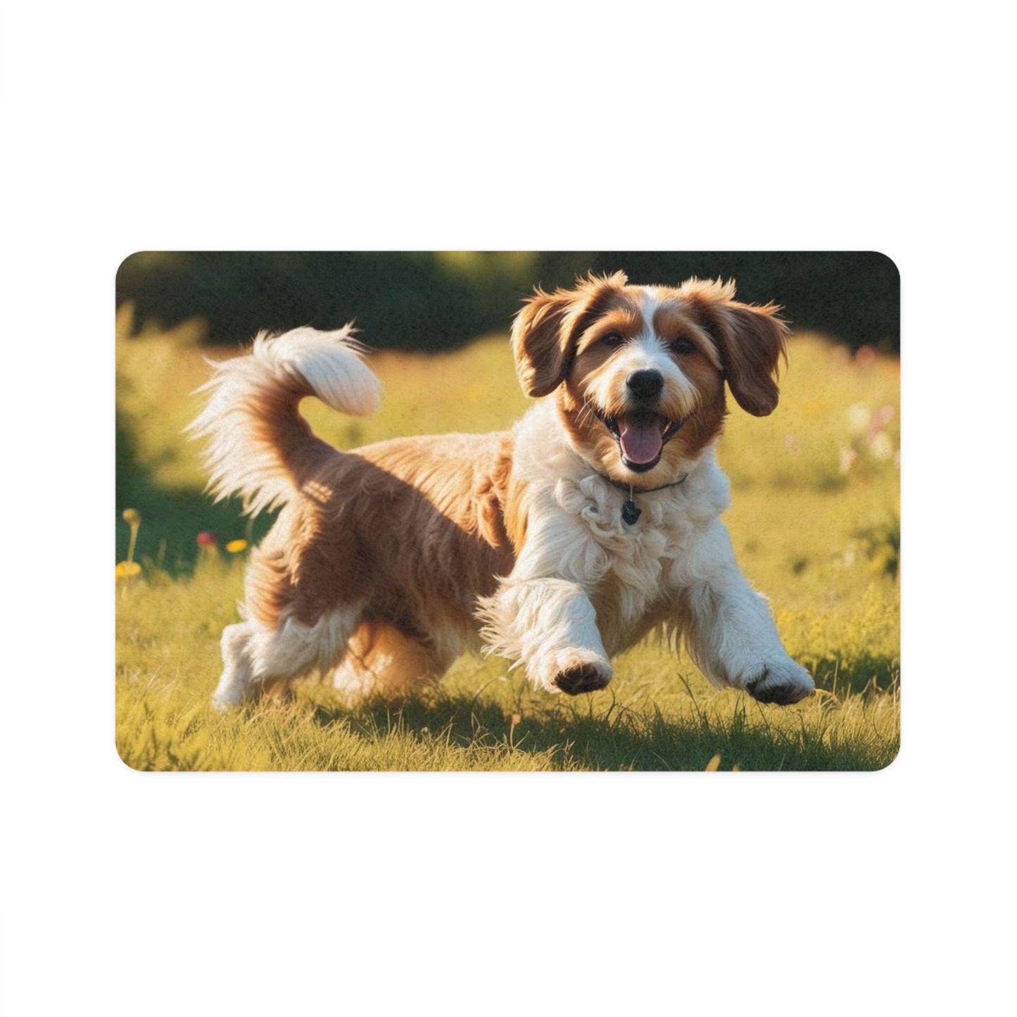 Pet Food Mat (12x18) - Lagotto Romagnolo