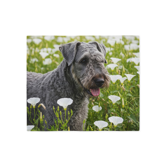 Kerry Blue Terrier Sweatshirt Blanket