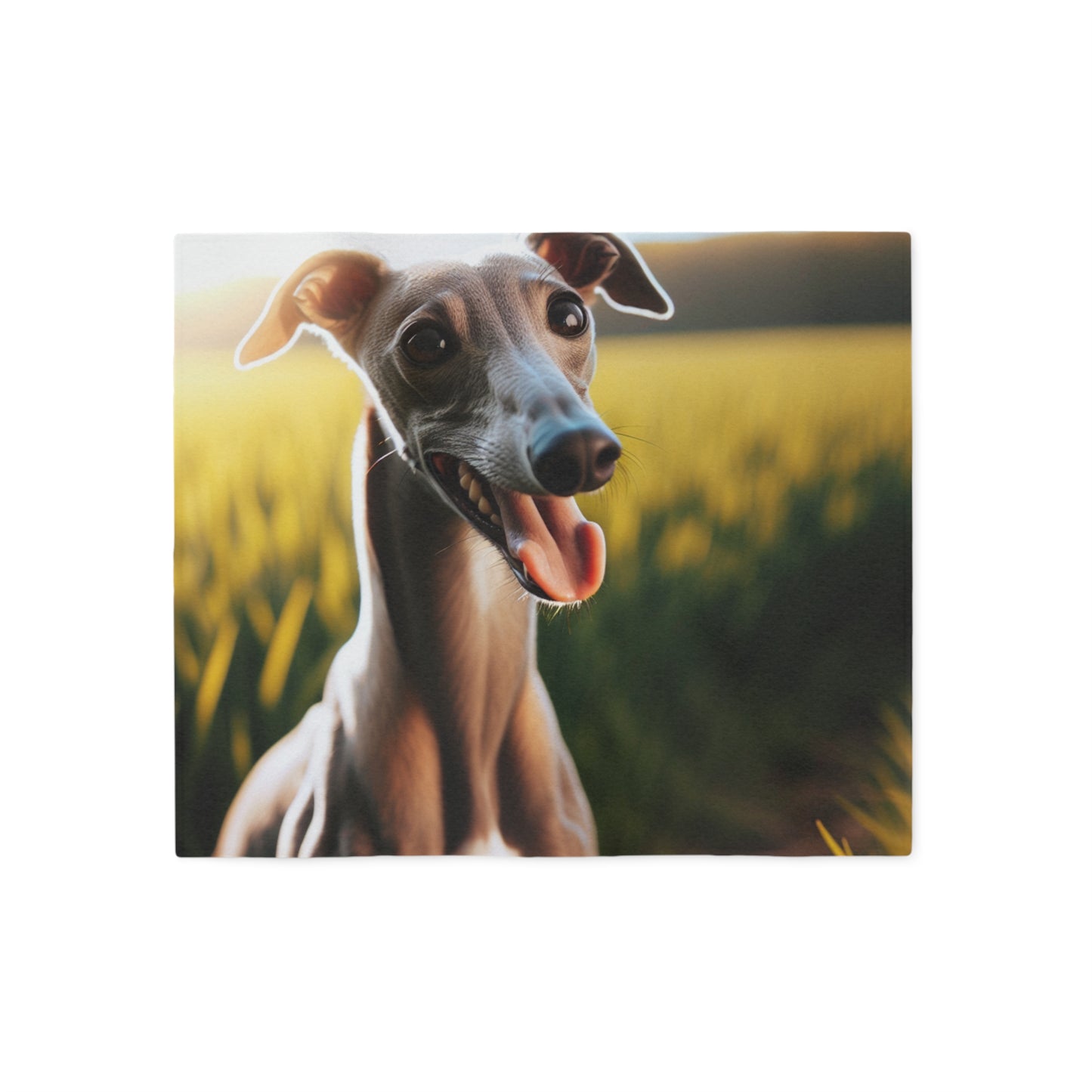 Greyhound Sweatshirt Blanket