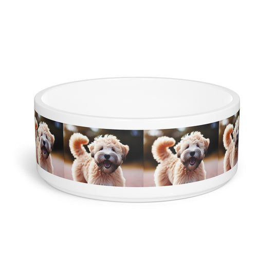 Soft Coated Wheaten Terrier Pet Bowl