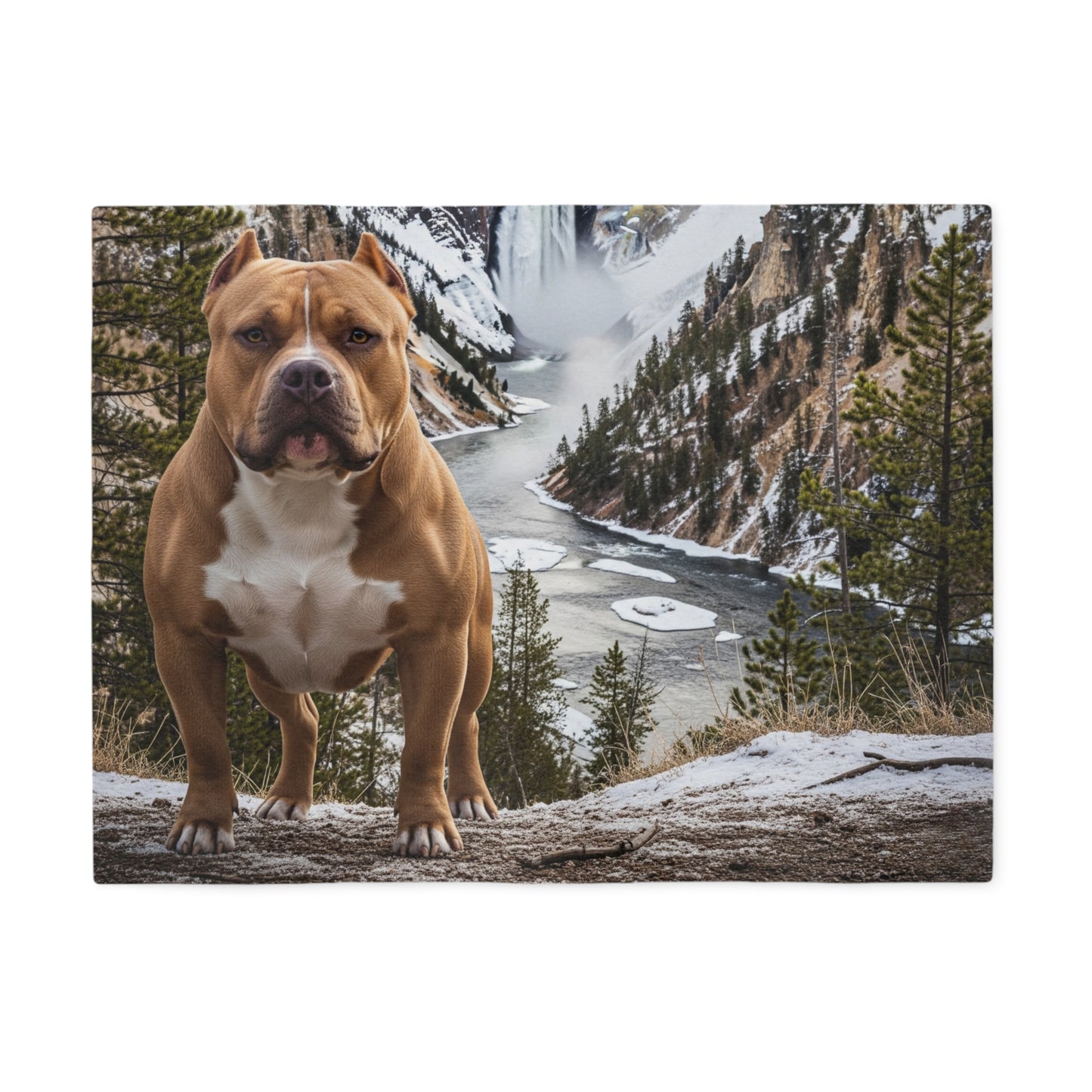 American Bully Blanket