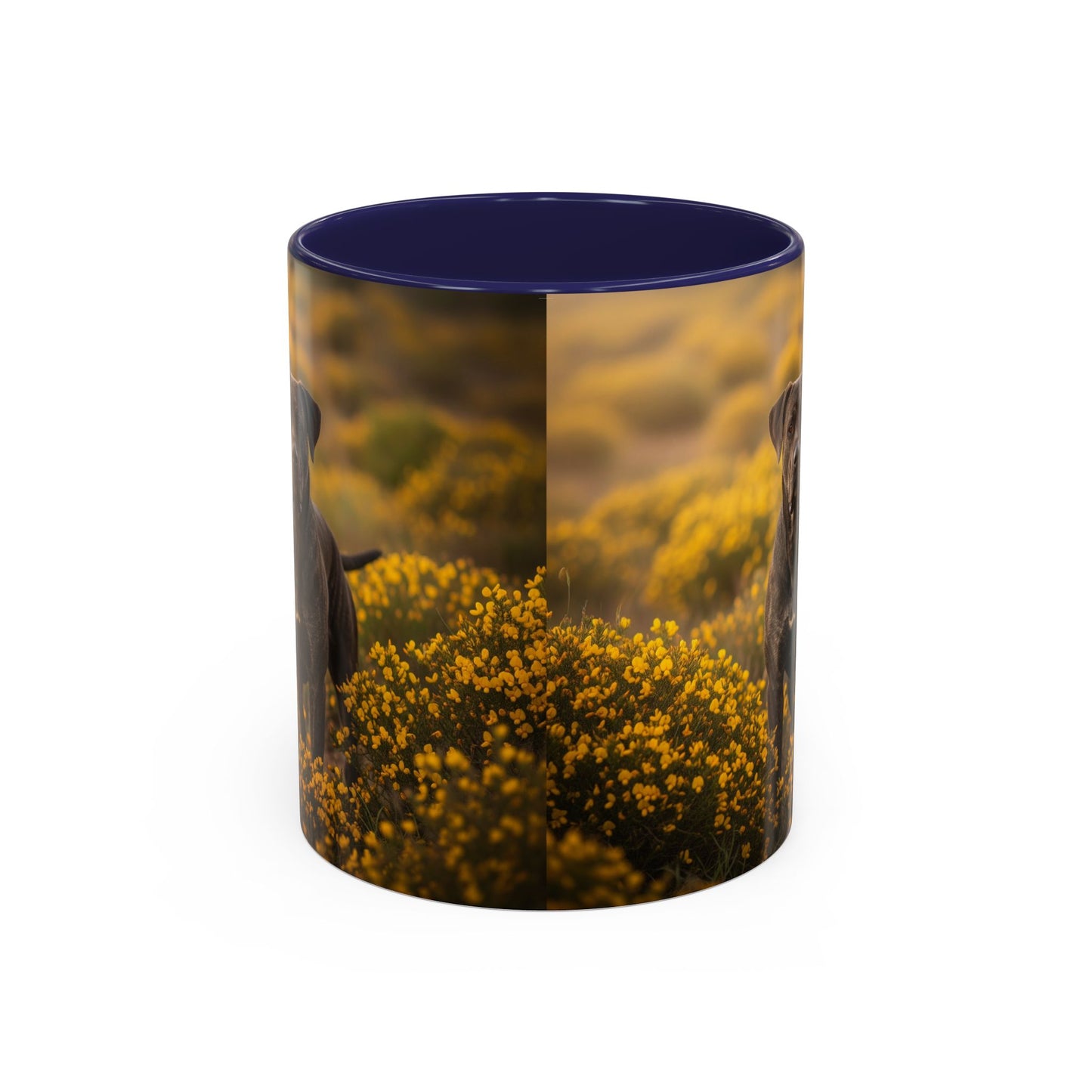 Mug Rafeiro do Alentejo Accent Coffee - Cadeau idéal pour les amoureux des chiens