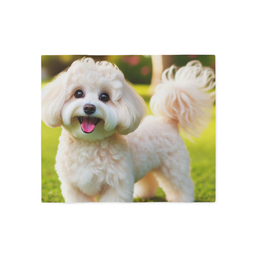 Maltipoo Sweatshirt Blanket
