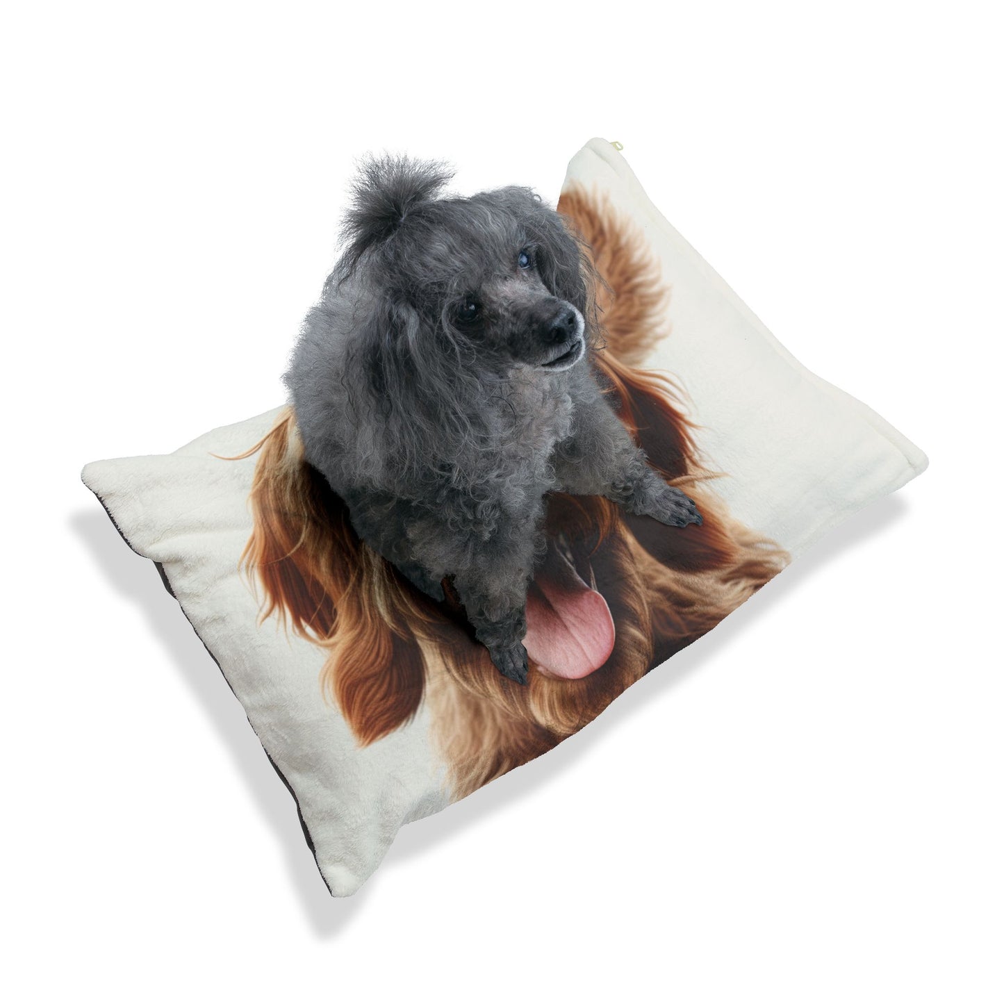 Italian Spinone Pet Bed