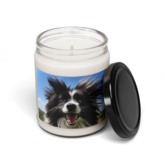 Portuguese Sheepdog- Scented Soy Candle, 9oz
