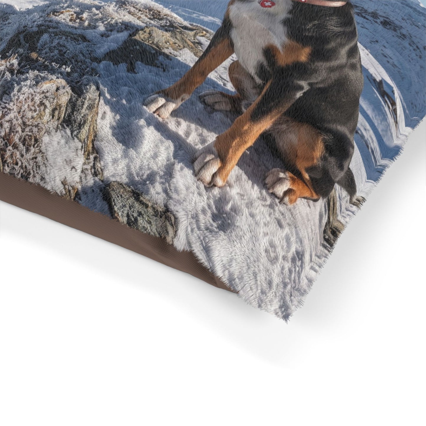 Entlebucher Mountain Dog Pet Bed
