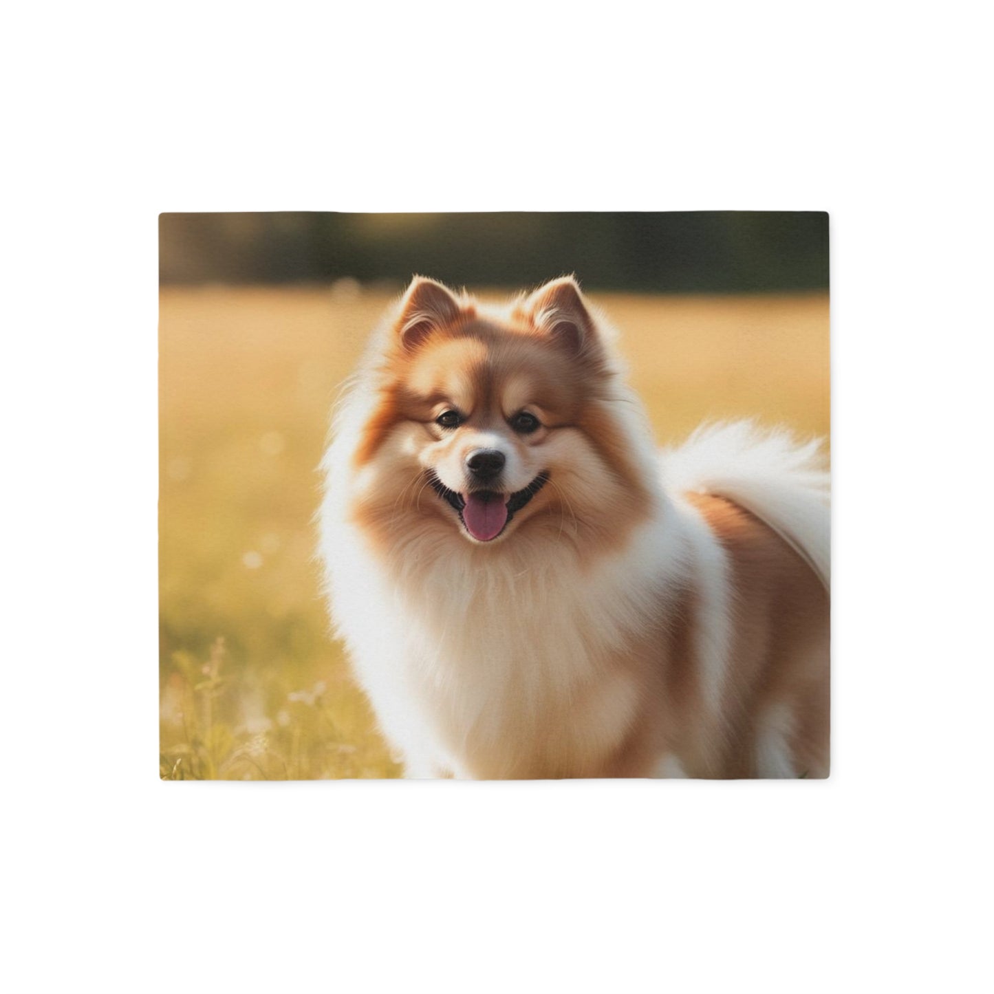 Couverture en sweat-shirt Keeshond